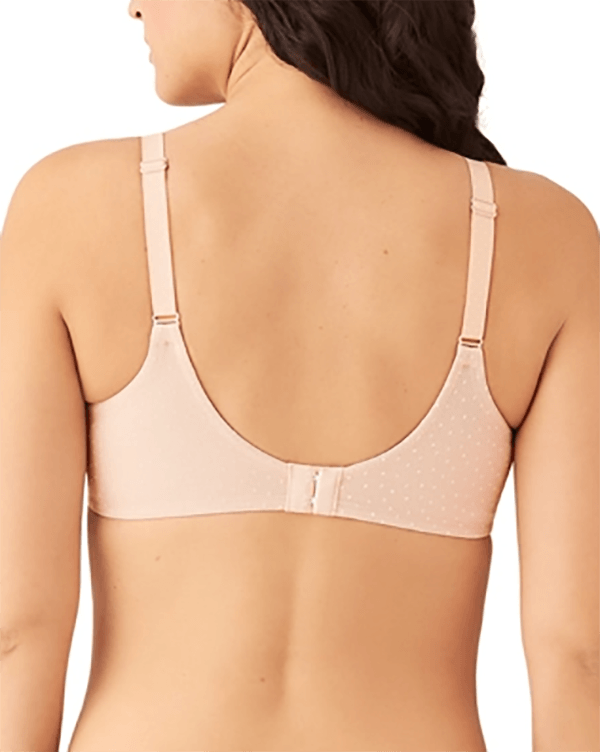 https://www.anintimateaffaire.com/cdn/shop/products/857303-Rose-Back-729721.png?v=1677177398
